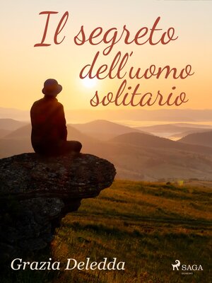 cover image of Il segreto dell'uomo solitario